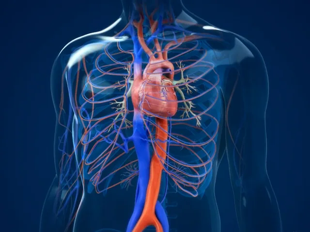 What is Angiography?